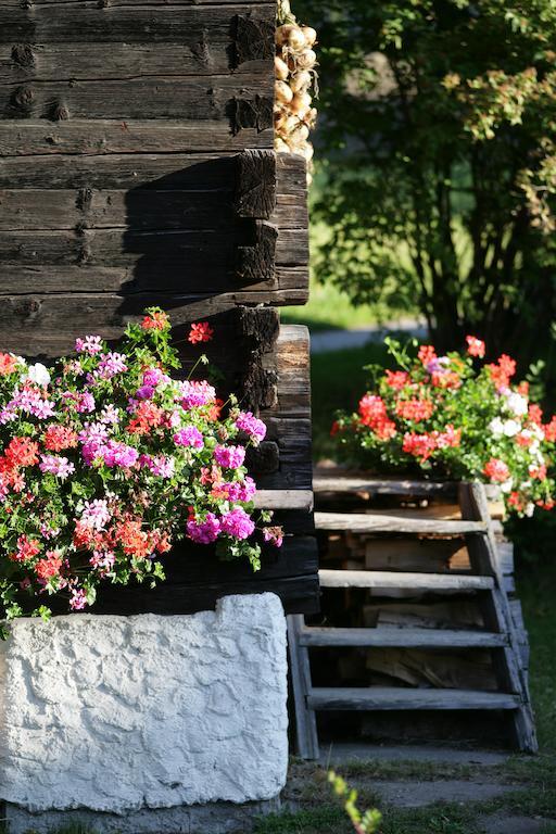 Leebhof Villa Patergassen Eksteriør bilde
